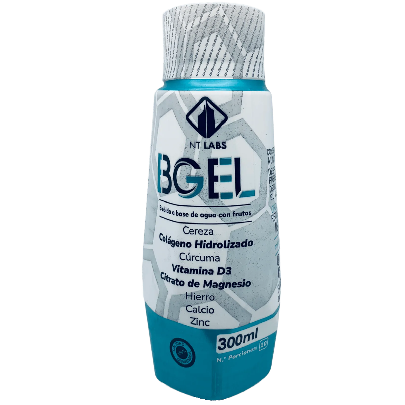BGEL_saludsabor.com
